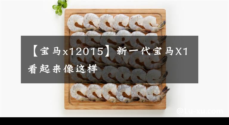 【宝马x12015】新一代宝马X1看起来像这样