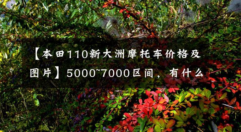 【本田110新大洲摩托车价格及图片】5000~7000区间，有什么通道摩托车？