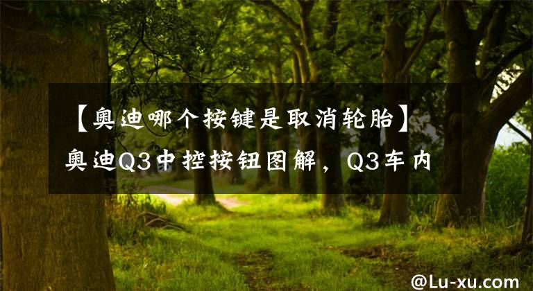 【奥迪哪个按键是取消轮胎】奥迪Q3中控按钮图解，Q3车内按键功能说明