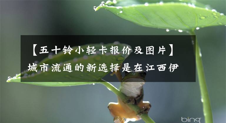 【五十铃小轻卡报价及图片】城市流通的新选择是在江西伊斯之翼加入轻卡。