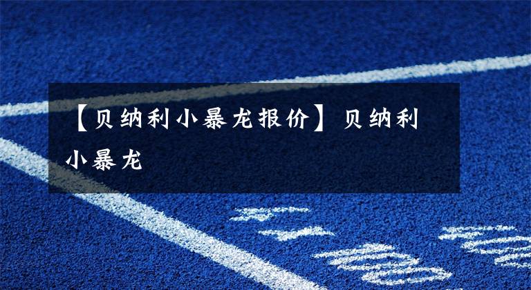 【贝纳利小暴龙报价】贝纳利小暴龙