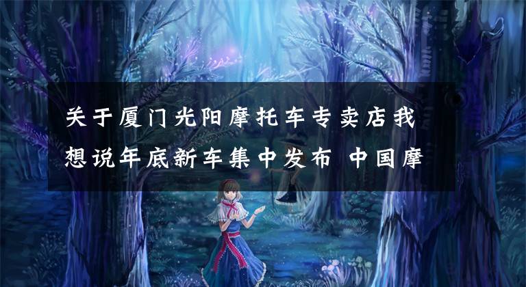 关于厦门光阳摩托车专卖店我想说年底新车集中发布 中国摩托车个性化消费时代已经来了