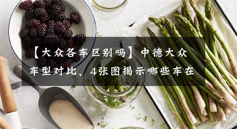 【大众各车区别吗】中德大众车型对比，4张图揭示哪些车在裸泳？