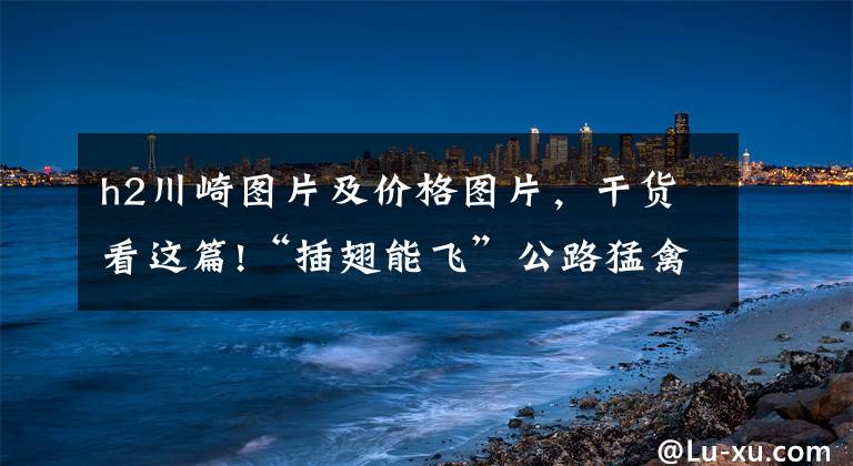 h2川崎图片及价格图片，干货看这篇!“插翅能飞”公路猛禽川崎Ninja H2豪华配置，售价42W