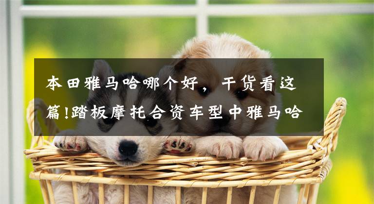 本田雅马哈哪个好，干货看这篇!踏板摩托合资车型中雅马哈本田铃木，发动机谁更胜一筹