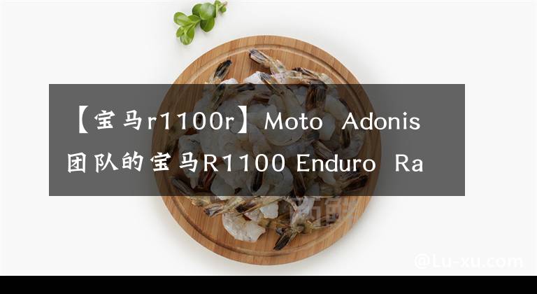 【宝马r1100r】Moto  Adonis团队的宝马R1100 Enduro  Racer