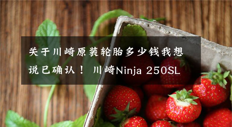 关于川崎原装轮胎多少钱我想说已确认！ 川崎Ninja 250SL ABS版直降1.1万