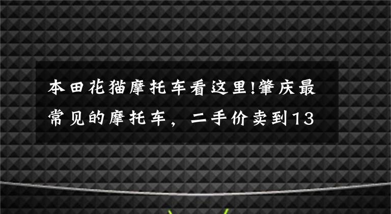 本田花猫摩托车看这里!肇庆最常见的摩托车，二手价卖到13.8万元！快看你家有没有？