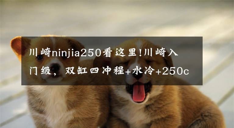 川崎ninjia250看这里!川崎入门级，双缸四冲程+水冷+250cc，尽显暴力美学，续航超长