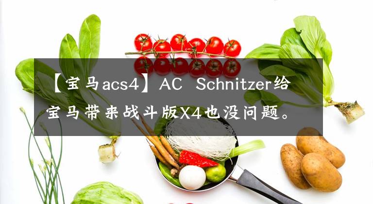 【宝马acs4】AC  Schnitzer给宝马带来战斗版X4也没问题。