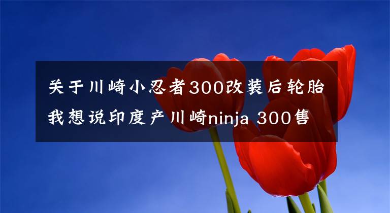关于川崎小忍者300改装后轮胎我想说印度产川崎ninja 300售价3万出头，是否要由光阳引入国产？