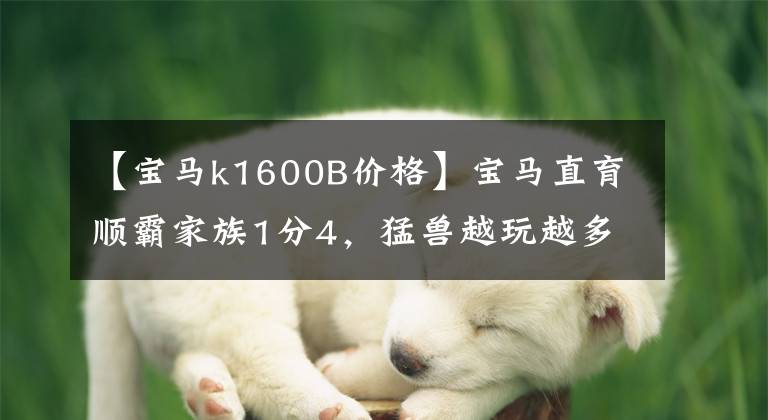 【宝马k1600B价格】宝马直育顺霸家族1分4，猛兽越玩越多。
