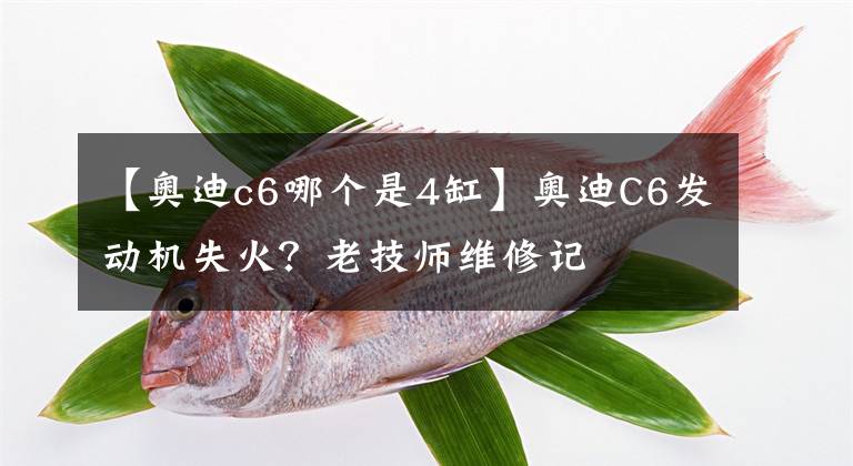 【奥迪c6哪个是4缸】奥迪C6发动机失火？老技师维修记