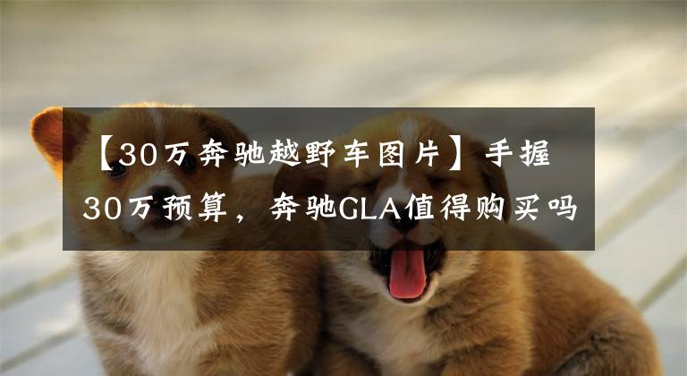【30万奔驰越野车图片】手握30万预算，奔驰GLA值得购买吗？不妨再考虑一下