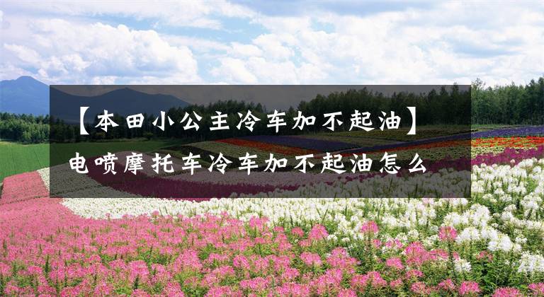 【本田小公主冷车加不起油】电喷摩托车冷车加不起油怎么办？了解原理后这个方法可以尝试解决