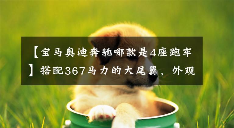 【宝马奥迪奔驰哪款是4座跑车】搭配367马力的大尾翼，外观新颖。我给你看奔驰AMG  GT四门跑车。