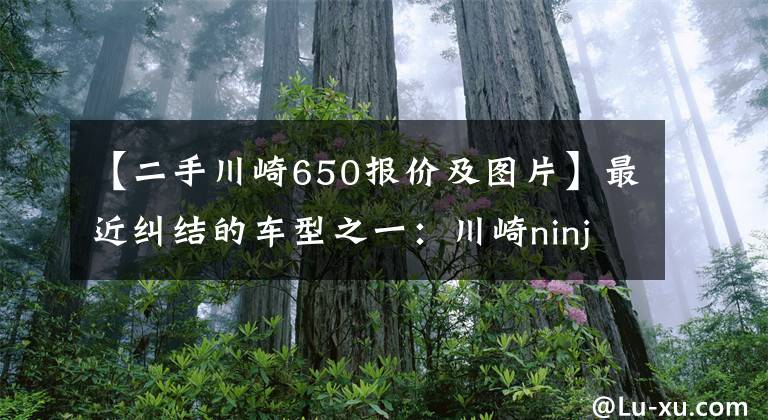 【二手川崎650报价及图片】最近纠结的车型之一：川崎ninja650