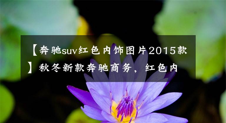 【奔驰suv红色内饰图片2015款】秋冬新款奔驰商务，红色内饰很温暖