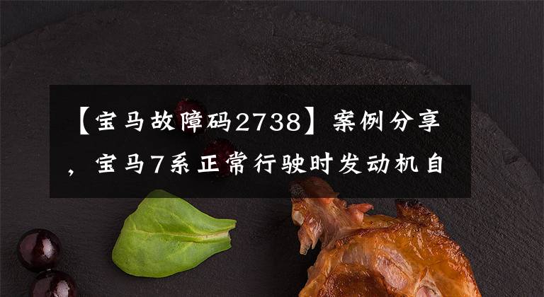 【宝马故障码2738】案例分享，宝马7系正常行驶时发动机自动加油门，油耗大。