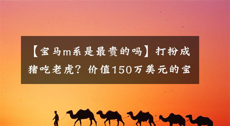 【宝马m系是最贵的吗】打扮成猪吃老虎？价值150万美元的宝马M5和普通5有什么区别？