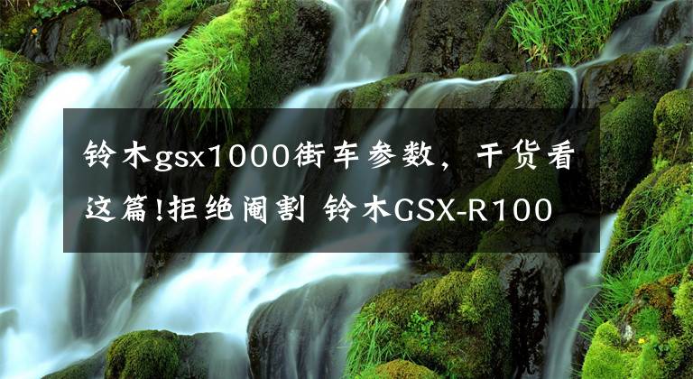 铃木gsx1000街车参数，干货看这篇!拒绝阉割 铃木GSX-R1000标准版实拍