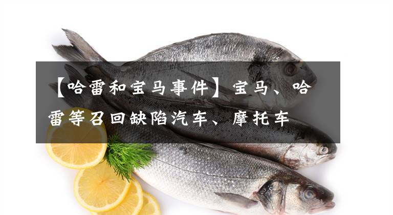 【哈雷和宝马事件】宝马、哈雷等召回缺陷汽车、摩托车