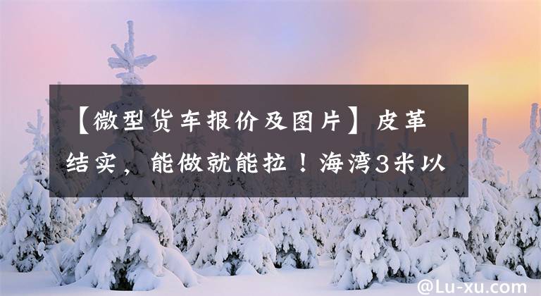 【微型货车报价及图片】皮革结实，能做就能拉！海湾3米以上，只有4.33万件，将展示荣耀卡延长版