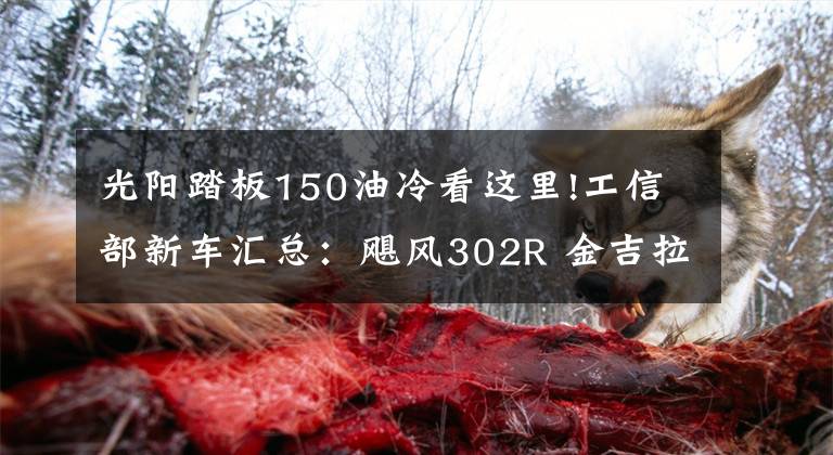 光阳踏板150油冷看这里!工信部新车汇总：飓风302R 金吉拉改款 光阳150新踏板
