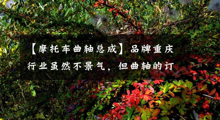 【摩托车曲轴总成】品牌重庆行业虽然不景气，但曲轴的订单却增加了。