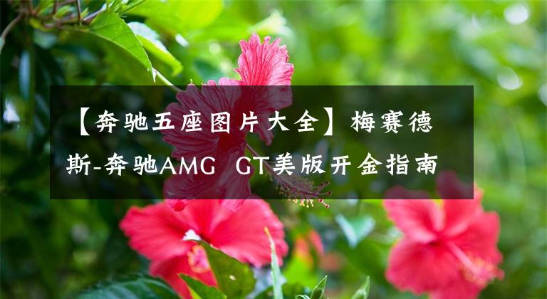 【奔驰五座图片大全】梅赛德斯-奔驰AMG  GT美版开金指南，增加5个名次的选项