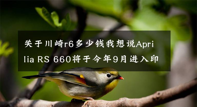 关于川崎r6多少钱我想说Aprilia RS 660将于今年9月进入印度市场
