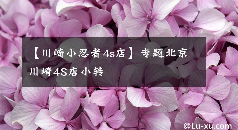 【川崎小忍者4s店】专题北京川崎4S店小转