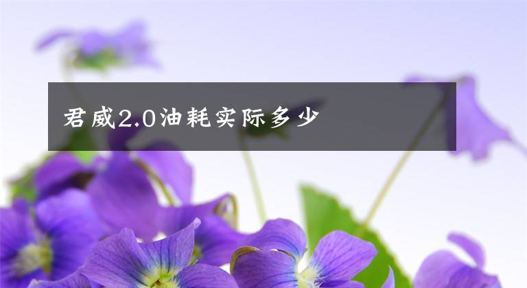 君威2.0油耗实际多少