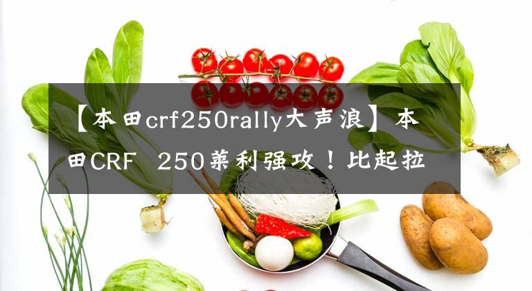 【本田crf250rally大声浪】本田CRF  250莱利强攻！比起拉力赛，更适合越野赛