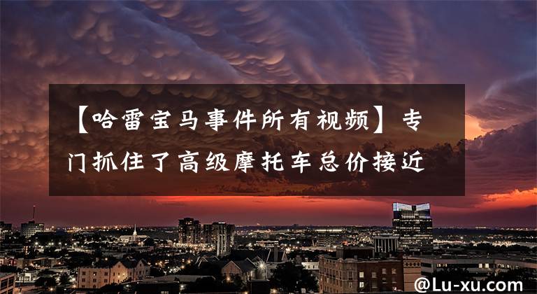 【哈雷宝马事件所有视频】专门抓住了高级摩托车总价接近300万11人的盗窃团伙