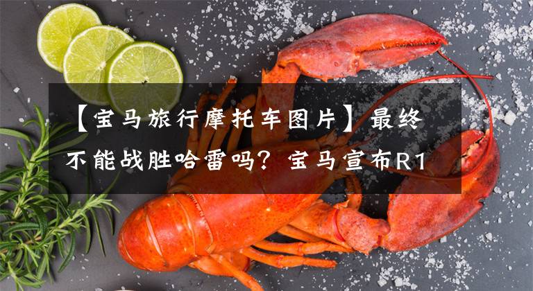 【宝马旅行摩托车图片】最终不能战胜哈雷吗？宝马宣布R18游侠/洲际旅行家，价格为28.8万件