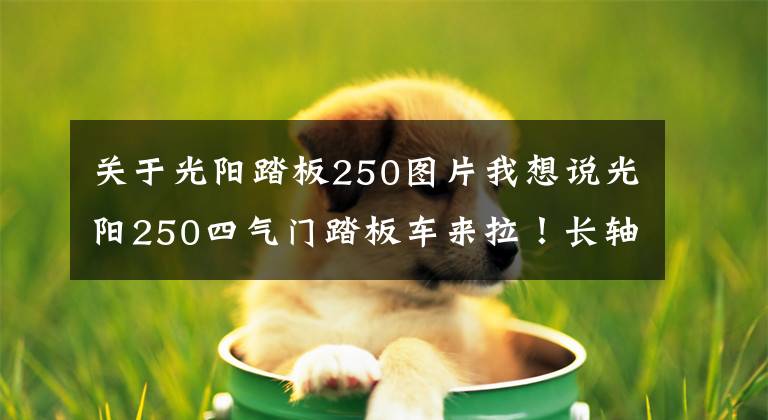 关于光阳踏板250图片我想说光阳250四气门踏板车来拉！长轴距龙骨车架，外观运动，配置丰富
