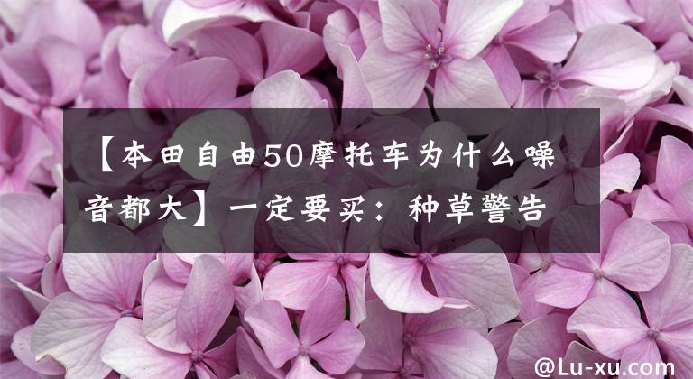 【本田自由50摩托车为什么噪音都大】一定要买：种草警告！提高幸福感的十大科技产品