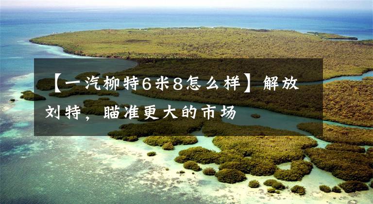【一汽柳特6米8怎么样】解放刘特，瞄准更大的市场