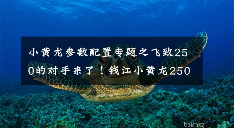 小黄龙参数配置专题之飞致250的对手来了！钱江小黄龙250官方售价公布1.78万