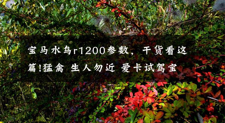 宝马水鸟r1200参数，干货看这篇!猛禽 生人勿近 爱卡试驾宝马R 1200 GS