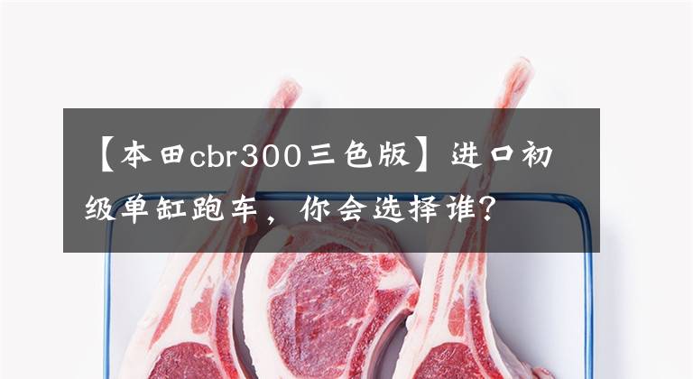 【本田cbr300三色版】进口初级单缸跑车，你会选择谁？