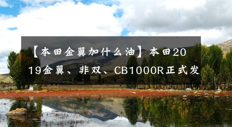 【本田金翼加什么油】本田2019金翼、非双、CB1000R正式发布，更换新配色。