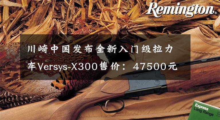 川崎中国发布全新入门级拉力车Versys-X300售价：47500元起