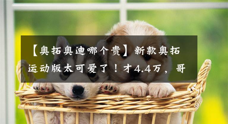 【奥拓奥迪哪个贵】新款奥拓运动版太可爱了！才4.4万，哥哥奥迪很为它骄傲！