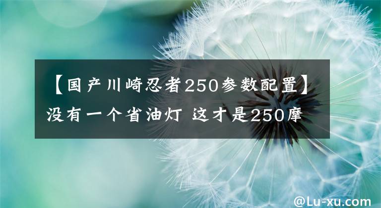 【国产川崎忍者250参数配置】没有一个省油灯 这才是250摩托应有的实力