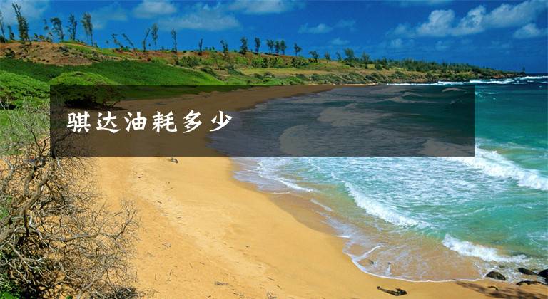 骐达油耗多少