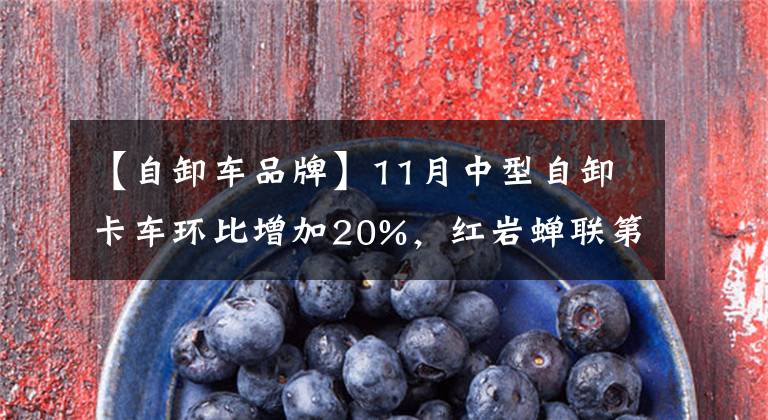 【自卸车品牌】11月中型自卸卡车环比增加20%，红岩蝉联第一的重汽上升前三名还有谁在上升？