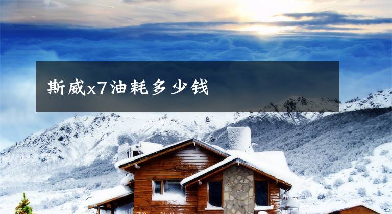 斯威x7油耗多少钱