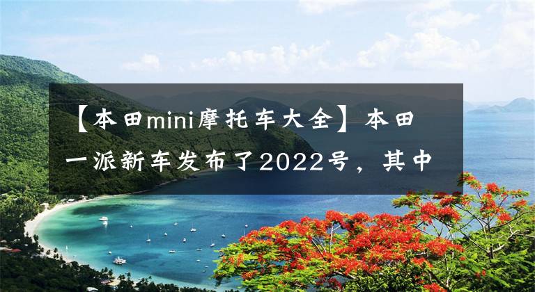 【本田mini摩托车大全】本田一派新车发布了2022号，其中包括传奇太子四斗750、迷你猴子125